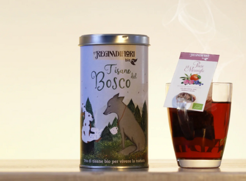 Lattina Tisane del Bosco BIO 12 filtri
